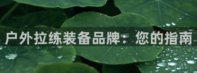 Bsports网页版APP