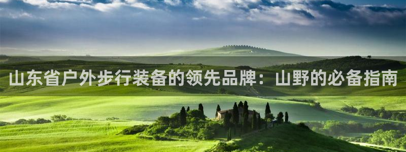 bsports官网登录