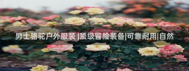 bsport体育app下载